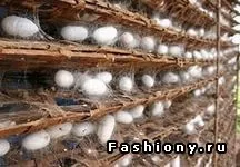 Шелкотерапія для волосся-волосся як шовк, сімейний сайт (впливу навколишнього середовища) Шелкотерапія для волосся-волосся як шовк, сімейний сайт