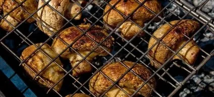 Печериці на мангалі - рецепти шашлику на багатті і маринаду з майонезом, соєвим соусом (вогнищі) Печериці на мангалі - рецепти шашлику на багатті і маринаду з майонезом, соєвим соусом