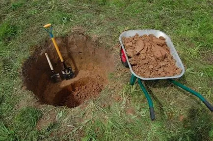 Cherry (Kép) elhagyása és leszállás, hogyan kell kiválasztani az anyagot az ültetés