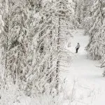 Какво да се провери в отвратителни хора, дълъг уикенд