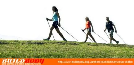 Mi Nordic walking botokkal