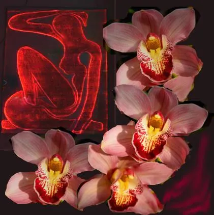 Orchid цвете - Наталия Krotov - съвременна поезия, поезия, поезия konnkursy