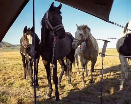 Wild West képek jelentését a tábor modern nomádok