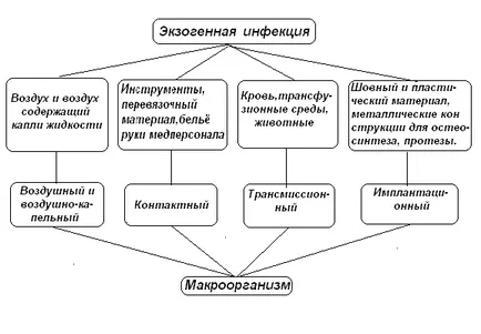 Endogena și infecție exogenă și măsurile de prevenire