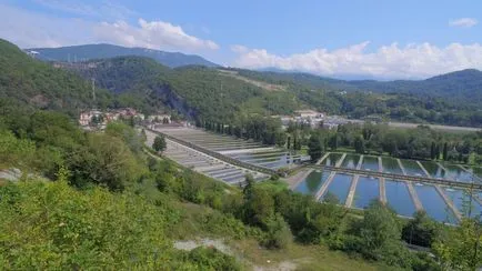 Trout Farm Adler (Sochi)