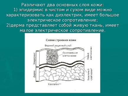 човешката физика - физика, презентации