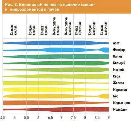 Ibolya az ablakpárkányon, korrekciója talajsavanyúság