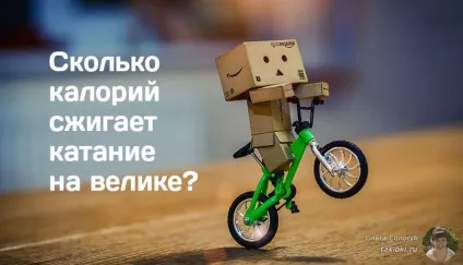 Скільки калорій спалює катання на велосипеді за годину (велосипеді) Скільки калорій спалює катання на велосипеді за годину
