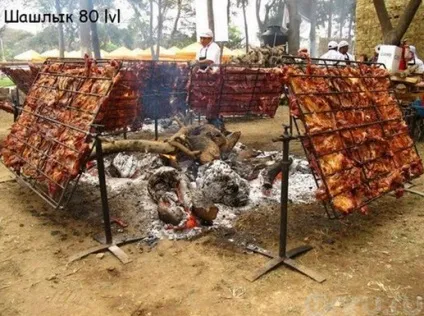 Скільки брати шашлику на природу з розрахунку на людину (людини) Скільки брати шашлику на природу з розрахунку на людину