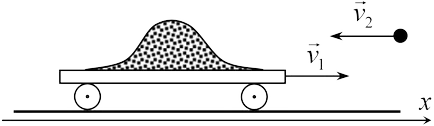 глава 5