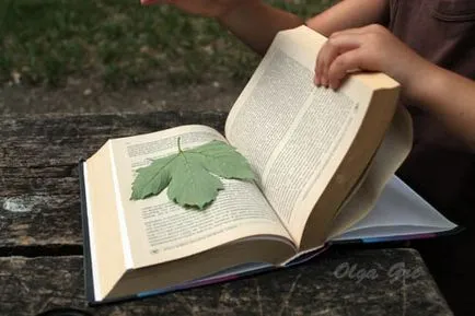 Herbárium a kezével, hogy száraz, mint a levelek és virágok egy herbáriumi otthon