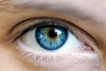 Сините лещи за кафяви очи се запознаят с характеристиките на избора на лещи и техните разновидности