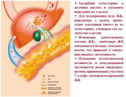 Липидопонижаващи ефект