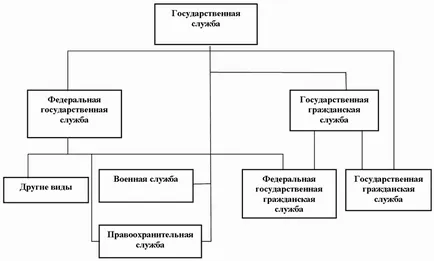 Державна служба