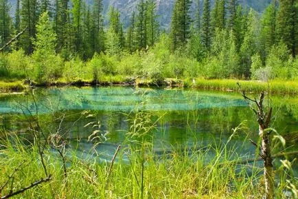 Albastru Lacurile din Altai - locul perfect pentru a vă relaxa