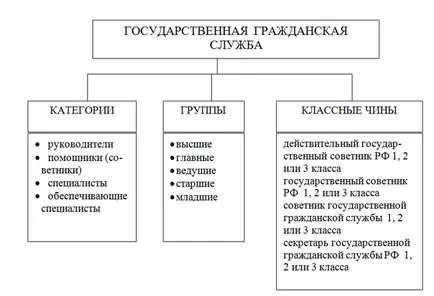 Державна служба