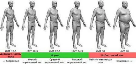 индекс на телесна маса за мъже (BMI) като олово тегло връща към нормалното