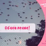 Штучне хутро