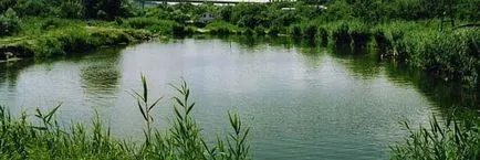 mesterséges tó