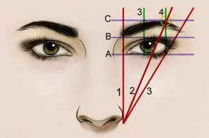 Cum de a găsi forma sprâncenelor perfectă Roman Medny