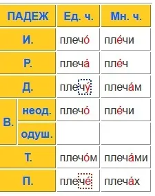 Как се пише думата рамото или горната част на ръката