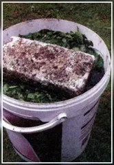 Как да се подготвите за тор за торене на трева (зелен инфузия), на мястото на градина, вила и стая