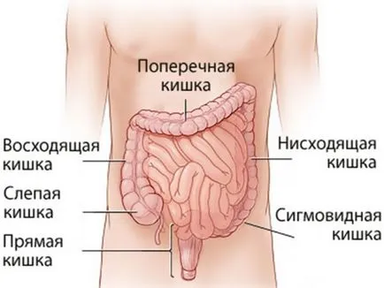 Как да приемате Atsipol за деца