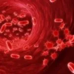 Змішана флора в мазку - що це таке, жіночий сайт - рецепти, мода, здоров'я, стосунки (флора) Змішана флора в мазку - що це таке, жіночий сайт - рецепти, мода, здоров'я, стосунки