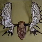 Скільки ж коштують роги лося (роги) Скільки ж коштують роги лося