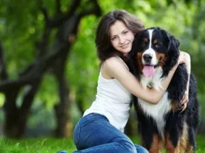 Собака в нашому житті