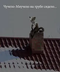 Як розіграти друга на вулиці