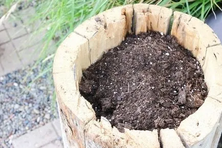 Hogyan, hogy a napló kádban virágok a kertben