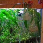 Как да се инсталира на отоплението в аквариума
