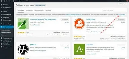 Cum se instalează plugin-ul pe Wordpress mână liberă