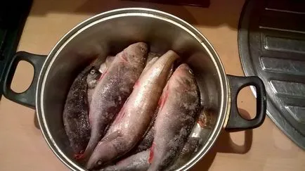 Как да се пуши риба у дома си в кухнята, майстор Фишър