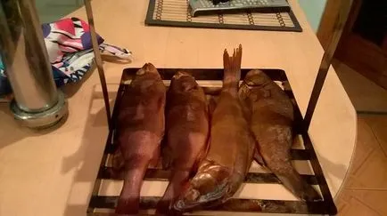 Cum să fumeze pește acasă în bucătărie, maestru Fisher