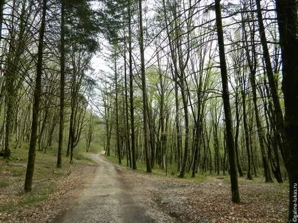 În ceea ce privește o zi pentru a vedea skaypark, pestera Akhshtyr și păstrăvărie (Soci), club