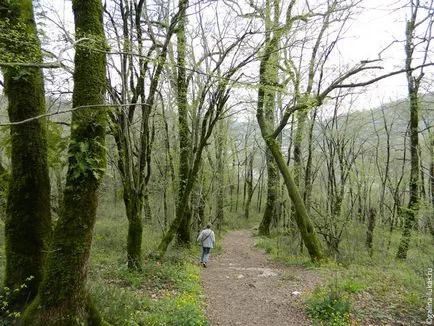 În ceea ce privește o zi pentru a vedea skaypark, pestera Akhshtyr și păstrăvărie (Soci), club