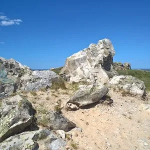 Kamyshinskye Mountain fülek 1