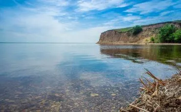 Kamyshinskye urechi călător