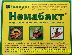Поради з вирощування томатів, огірків і перців в теплиці (томатів) Поради з вирощування томатів, огірків і перців в теплиці