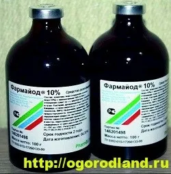 Поради з вирощування томатів, огірків і перців в теплиці (поради городнику) Поради з вирощування томатів, огірків і перців в теплиці