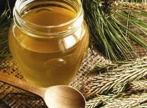 Соснові бруньки від кашлю рецепт з фото (соснових бруньок кашлю) Соснові бруньки від кашлю рецепт з фото