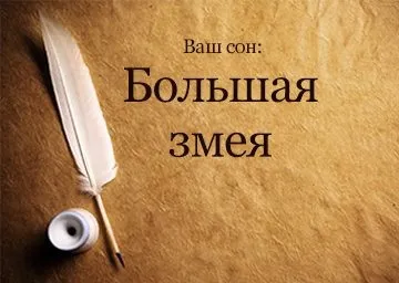 Сонник велика змія, до чого сниться змія велика, товста, величезна бачити уві сні