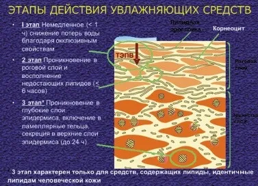 Сучасні підходи до зовнішньої терапії атопічного дерматиту у дітей, # 01 (педіатрія) Сучасні підходи до зовнішньої терапії атопічного дерматиту у дітей, # 01