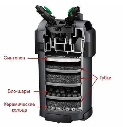 Сучасний зовнішній фільтр - це ефективна турбота про красу акваріума і здоров'я його мешканців (фільтр) Сучасний зовнішній фільтр - це ефективна турбота про красу акваріума і здоров'я його мешканців