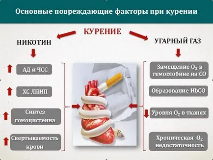 Пушачи по време на бременност ефекти, отколкото опасно, заплашително, каква е причината за едно дете