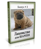 Shar pei kutya képzés otthon