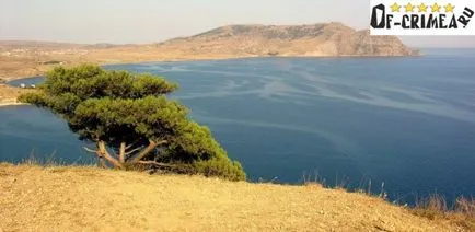 Cape Meganom (sügér, Krím) - pihenés, hogyan lehet egy térkép fotókkal