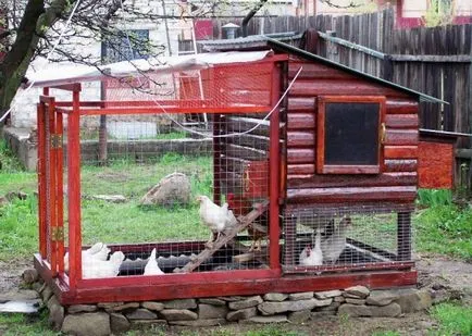 Mini-coop 10-20 pui cu mâinile lor - cum să construiască, instrucțiuni și diagrame